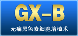 GX-Bʹɫϸֲ